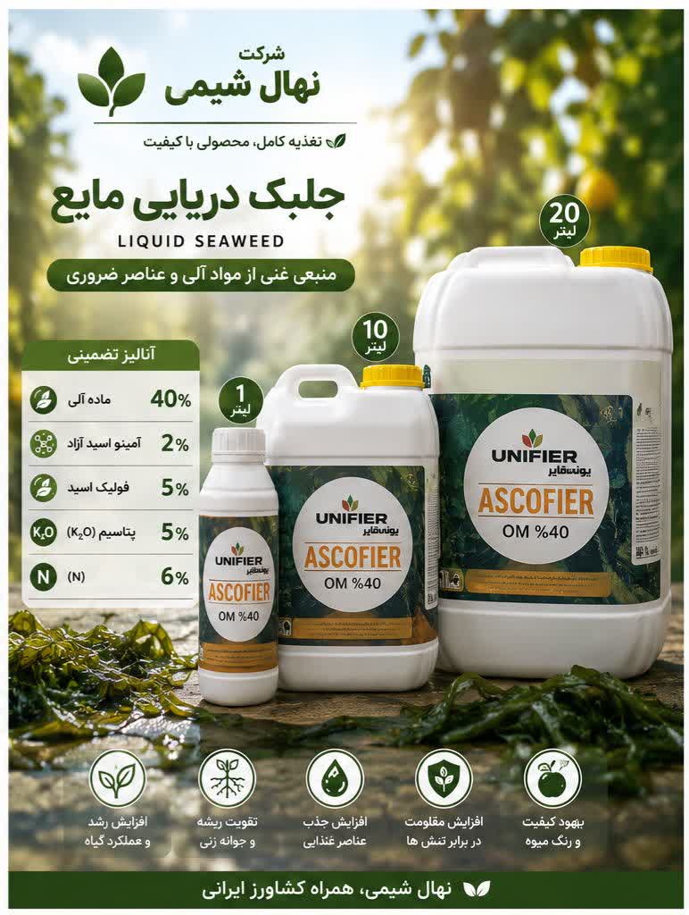 جلبک دریایی 5 لیتری